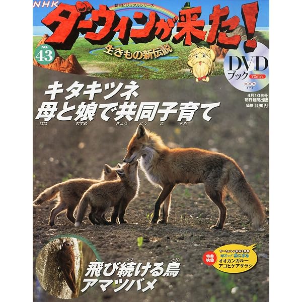 Amazon.co.jp: ダーウィンが来た!生きもの新伝説DVDブック 50号 完結号